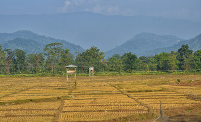 Dooars – 5 Nights/ 6 Days Tour Package