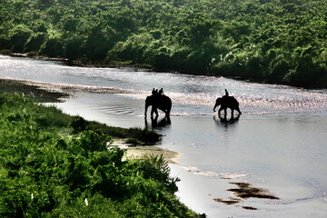 Jaldapara National Park